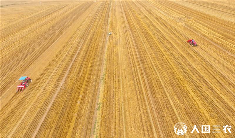 全国已收获小麦面积2.61亿亩 进度超八成