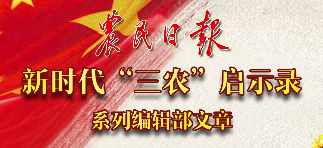 农民日报新时代“三农”启示录系列编辑部文章