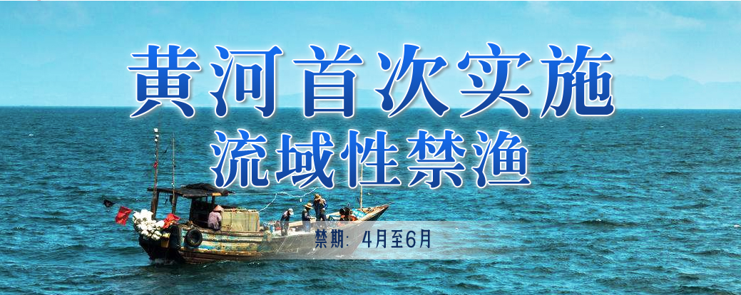 黄河首次实施流域性禁渔