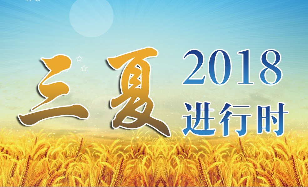 2018三夏进行时