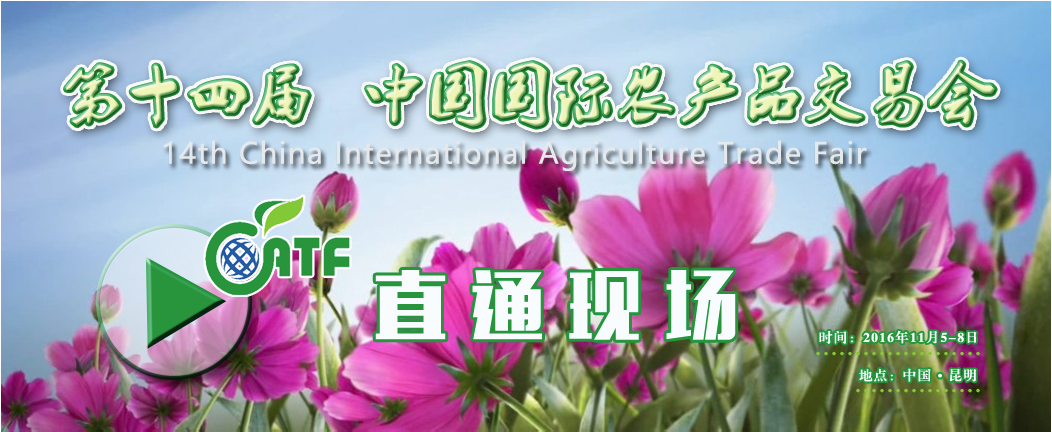 直通现场_第十四届中国国际农产品交易会