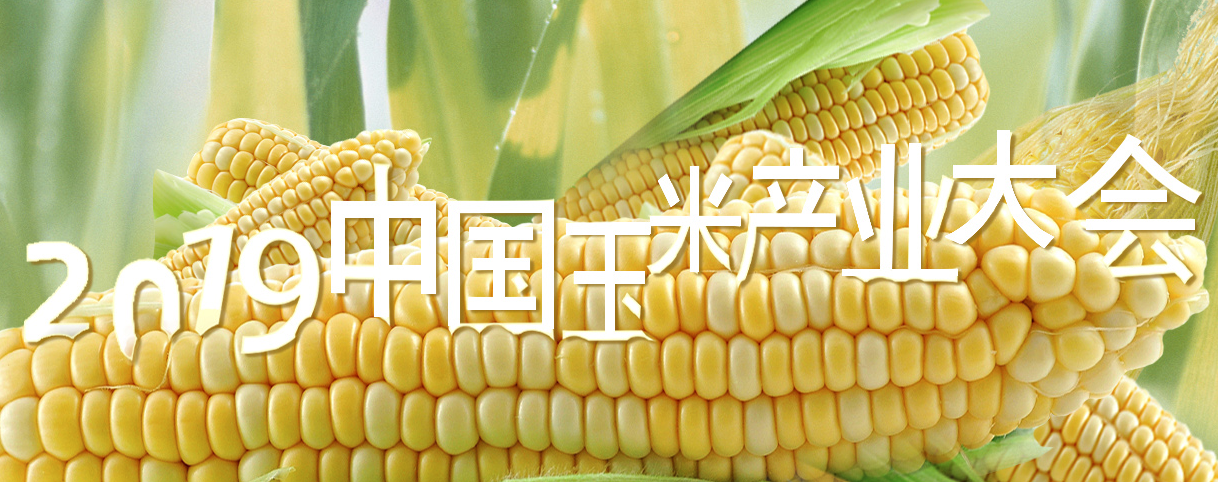 2019中国玉米产业大会