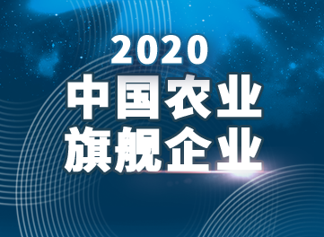 2020 中国农业旗舰企业