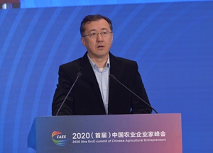 中粮集团有限公司党组成员、副总裁伊力扎提发言 