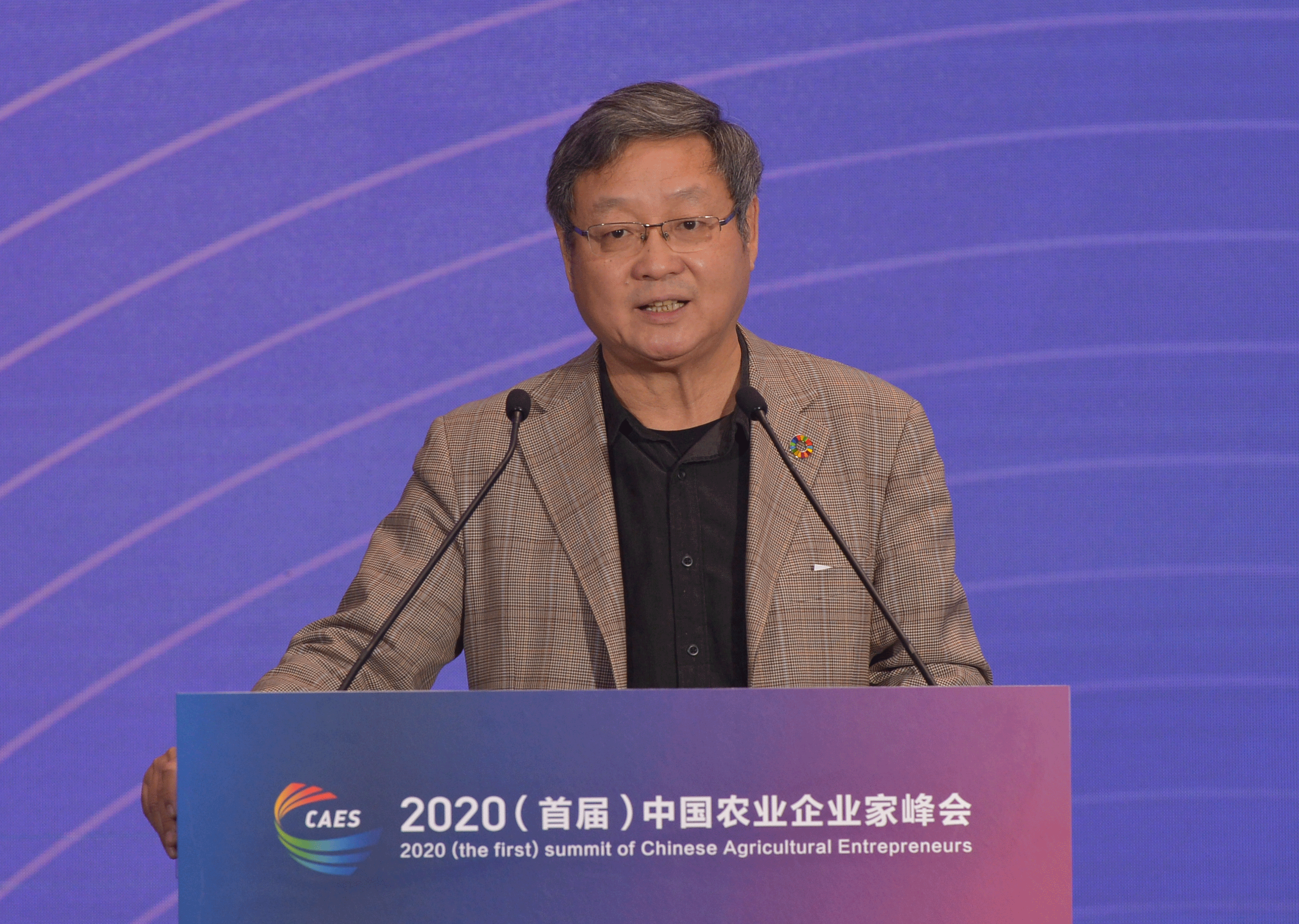 中国农业风险管理研究会会长、清华大学中国农村研究院副院长张红宇发言