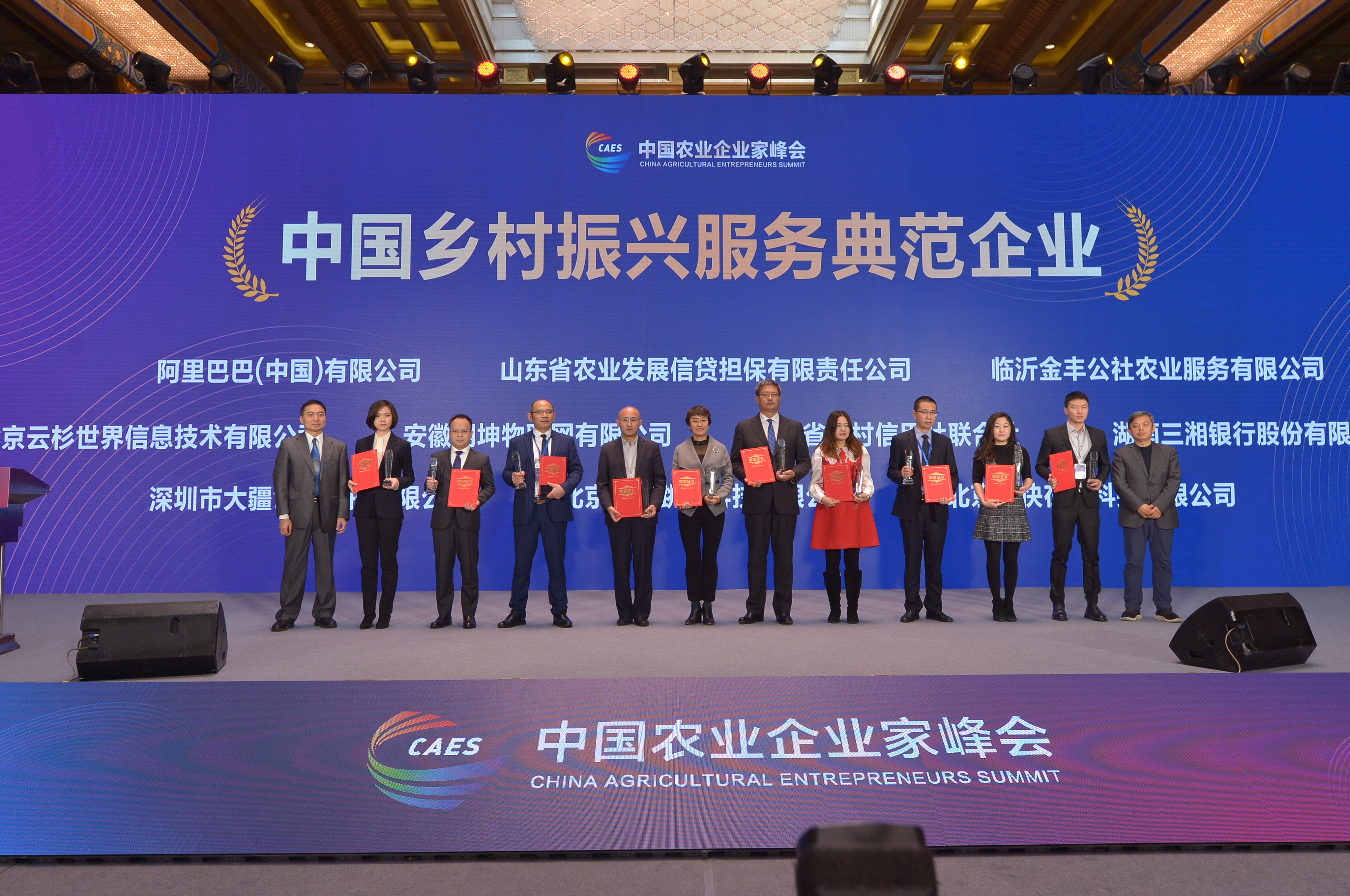 2020中国乡村振兴服务典范企业代表上台领取荣誉证书