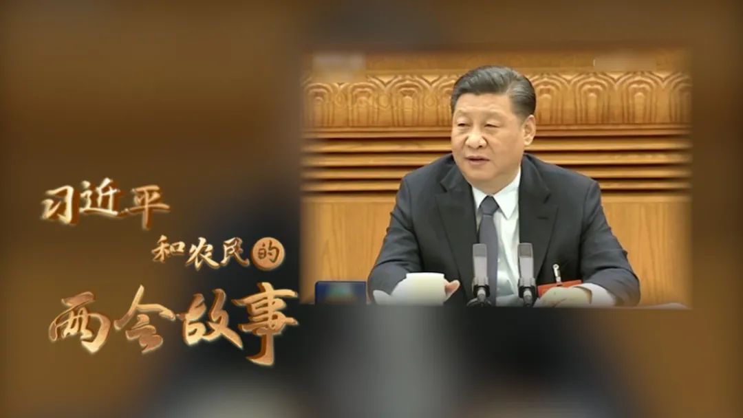 习近平和农民的两会故事③｜总书记让我转达一个问候