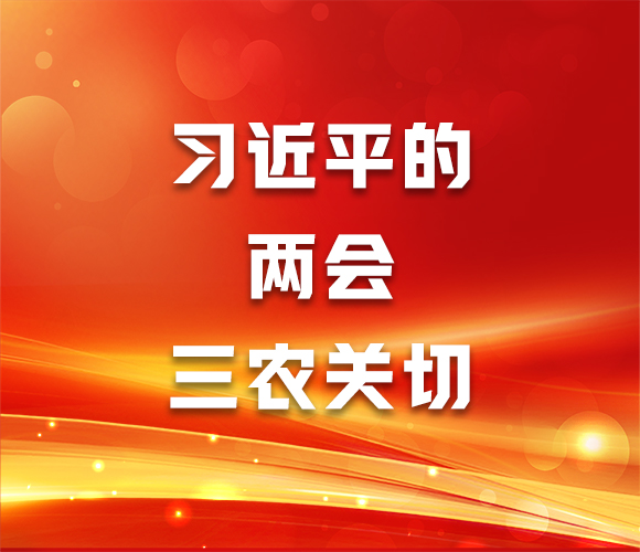 习近平的两会三农关切