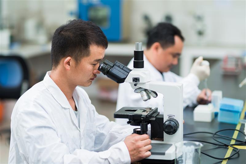 三驾马车助农增收、数字化转型战疫抗疫、以科研创新硬实力对抗经济低迷
