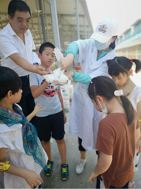 图片3.png