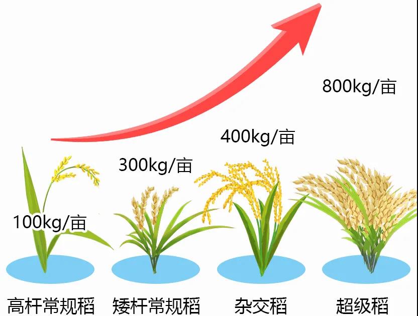 微信图片_20210417150925.jpg