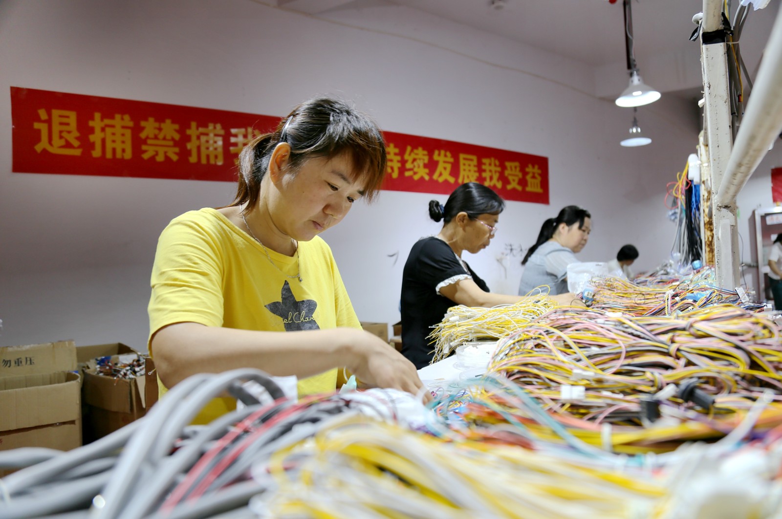 合肥转产01.JPG