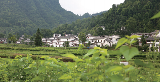 微信截图_20220119163912.png