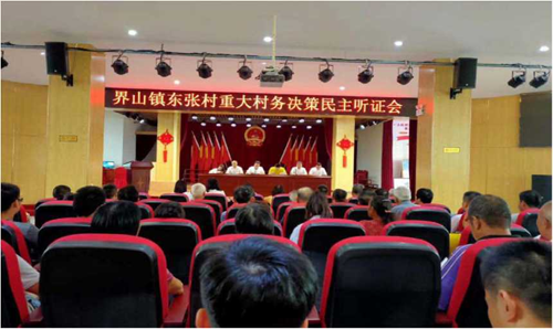 图1东张村召开重大村务决策民主听证会.png
