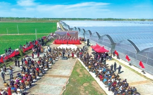 渤海湾畔新农路