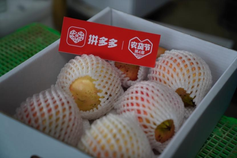 图片11.png