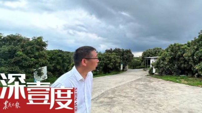 关注气候变化之雨袭荔枝村