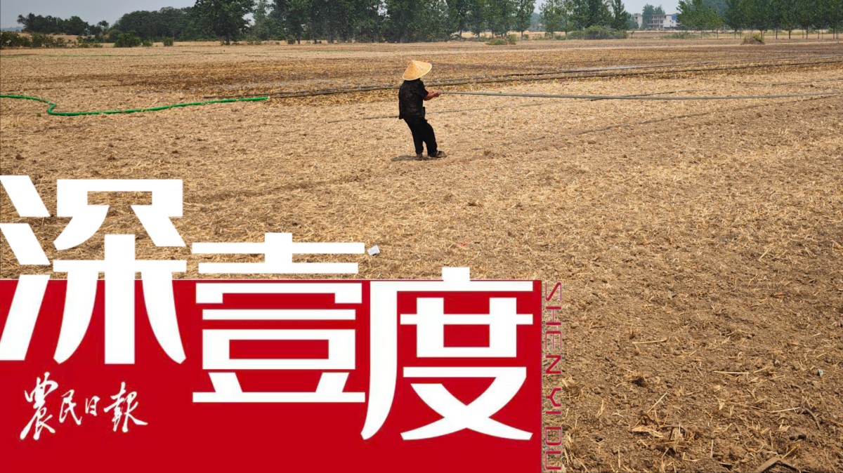 抗旱龙王乡