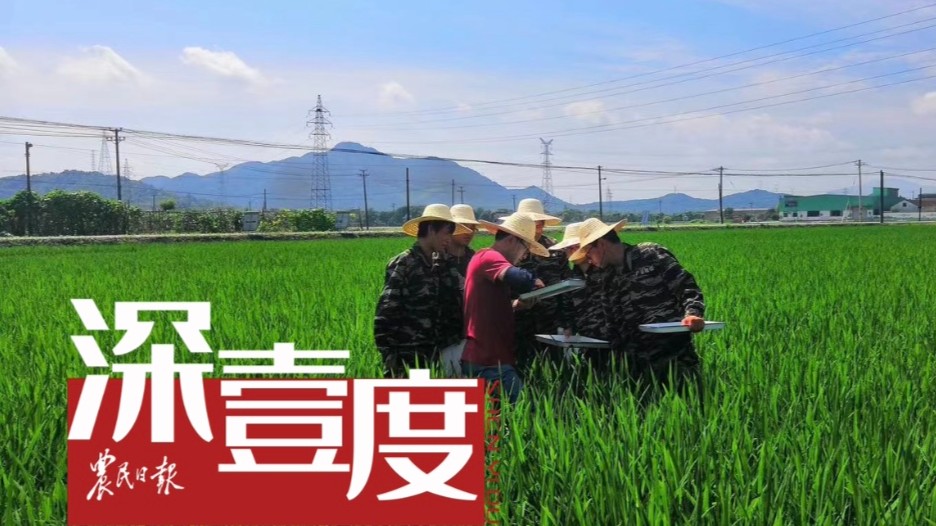“肥药两制”改革何以撬动农业绿色发展？