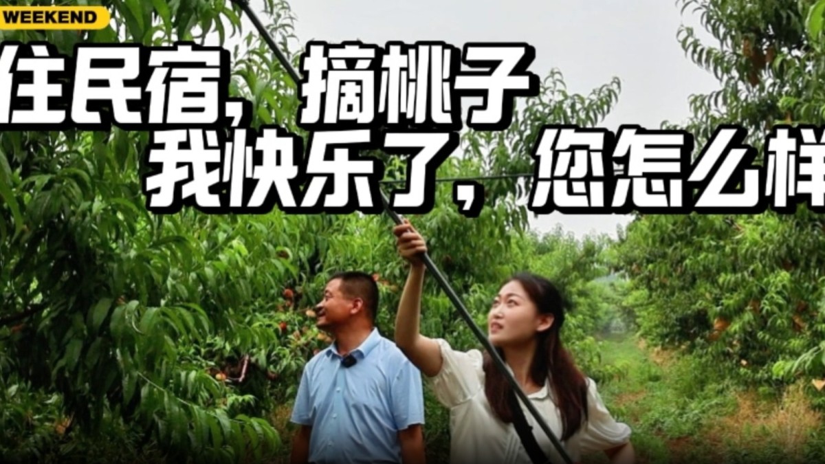 我的幸福生活 | 住民宿，摘桃子，我快乐了，您怎么样？