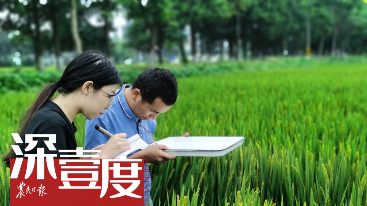 关注气候变化之数虫