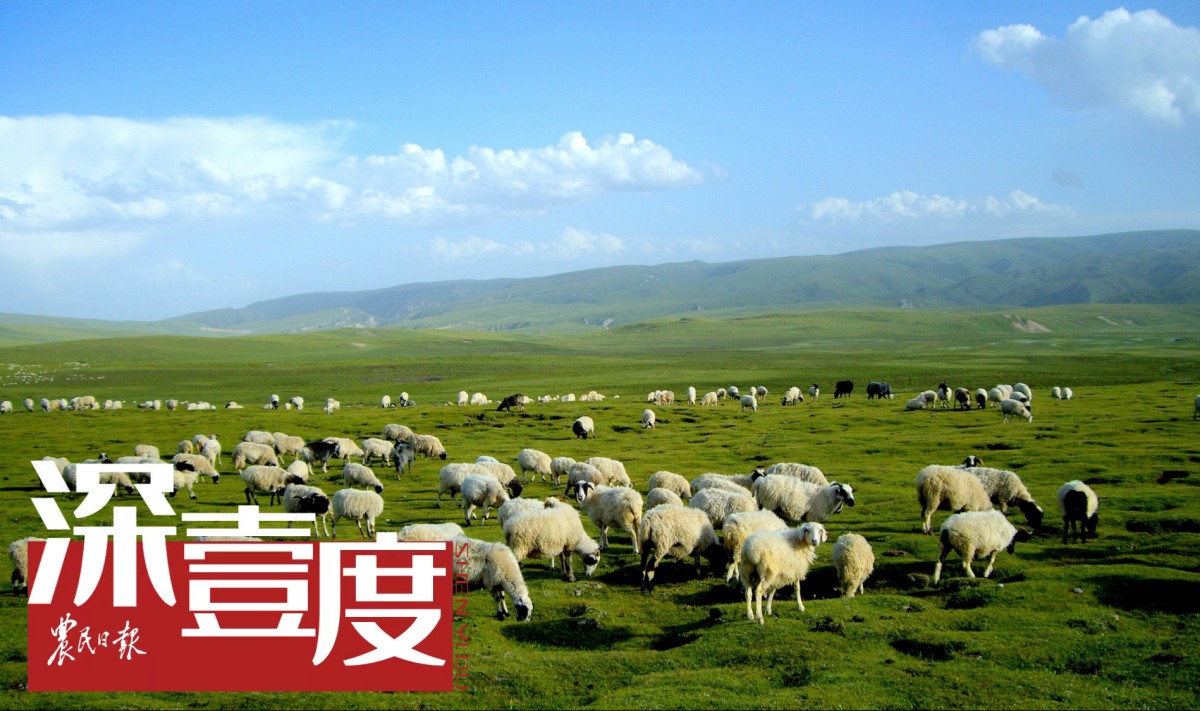 草原畜牧业：渐别“靠天养畜”
