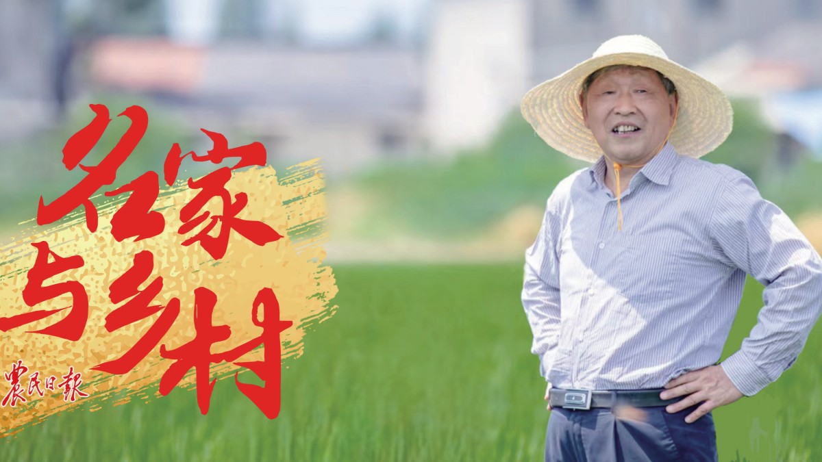 ​张洪程：守望稻花香