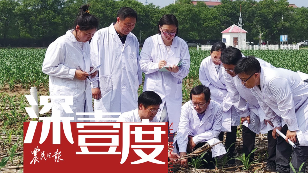 旱作农业如何提产能？