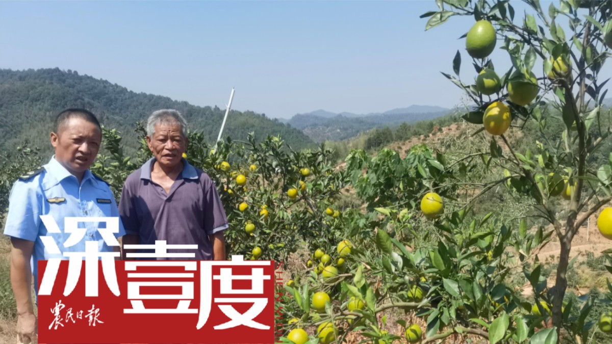 拆穿以“订单农业”为名的骗局