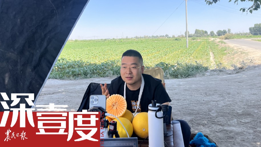 “网红”卖瓜