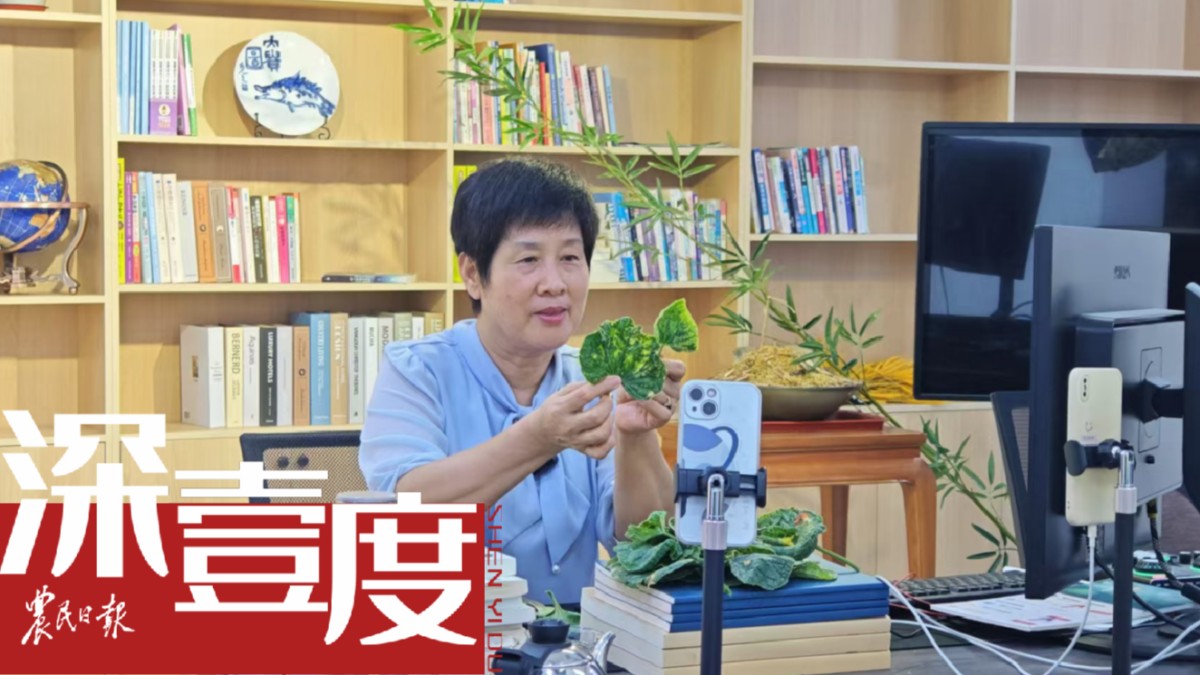农技推广：从“田头”到“云端”