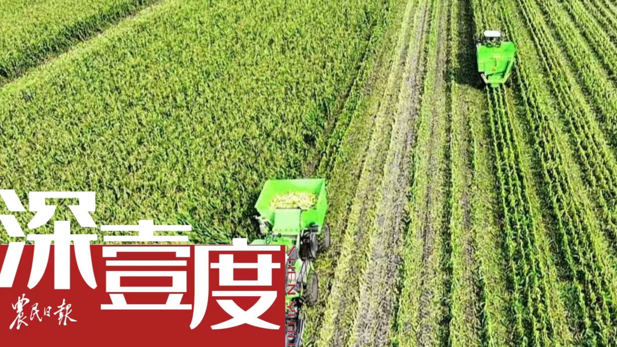 “带地入社”——一种小农户有效衔接现代农业的探索