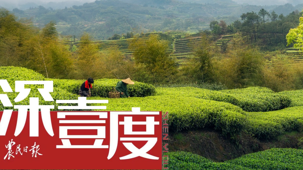 农业品牌保护，如何有力且高效？
