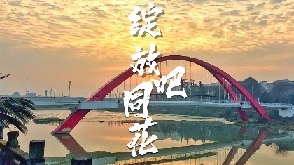 驻村手记丨绽放吧 同花
