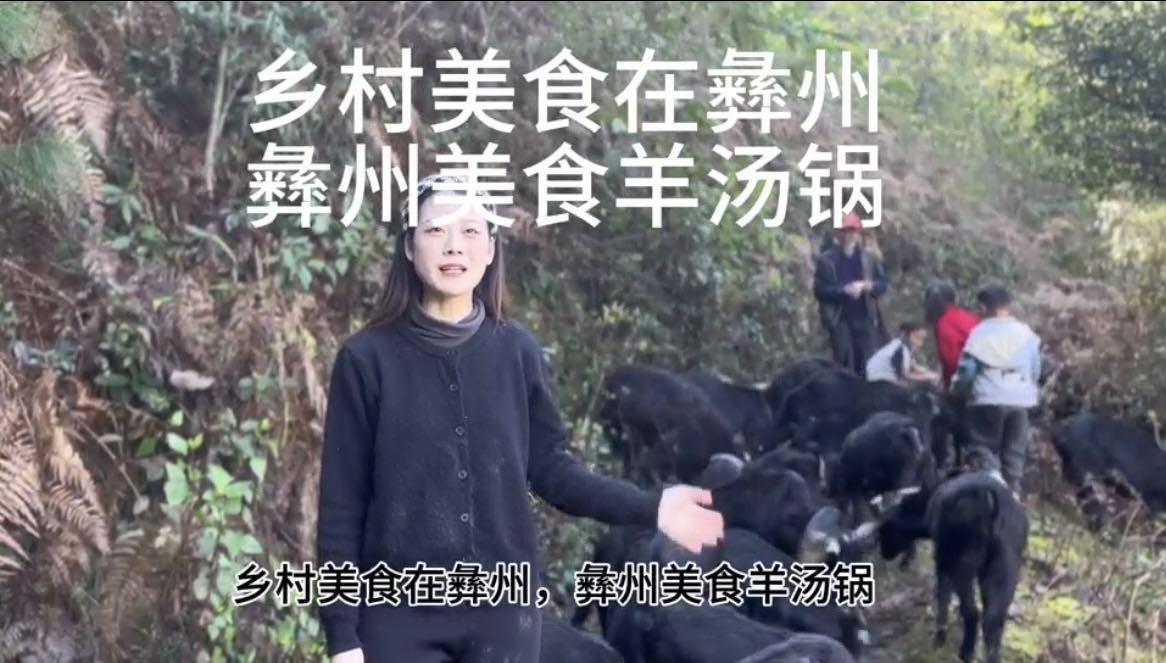 编号18《彝州羊汤锅》
