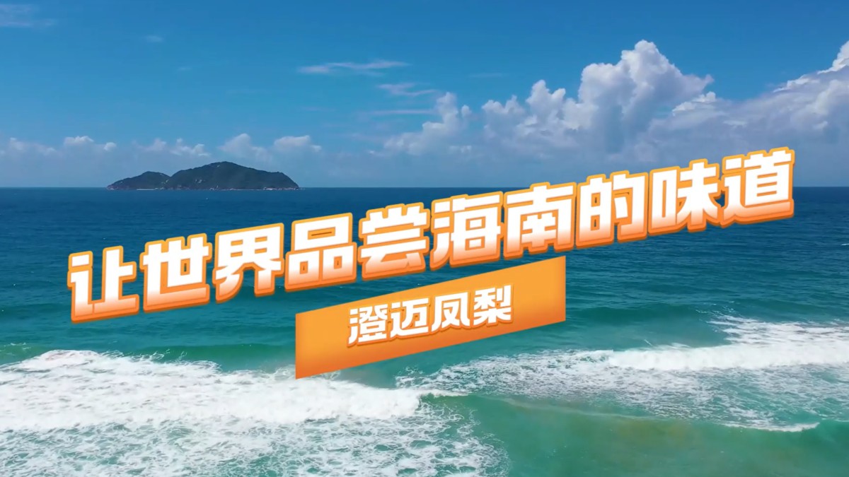 编号35 《让世界品尝海南的味道一澄迈凤梨》