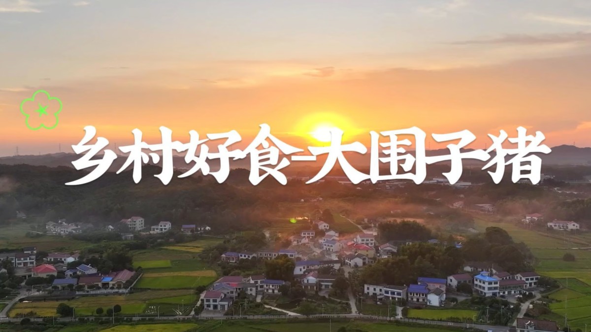 编号42 《大围子猪-辣椒炒肉》
