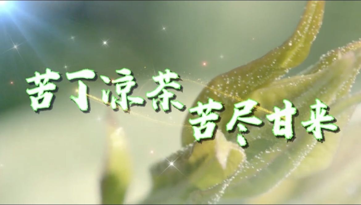 编号3《苦丁凉茶-苦尽甘来》