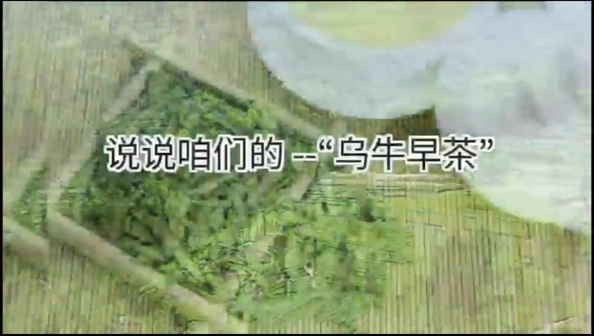 编号13《楠溪江水育香茗，乌牛早茶非凡品》