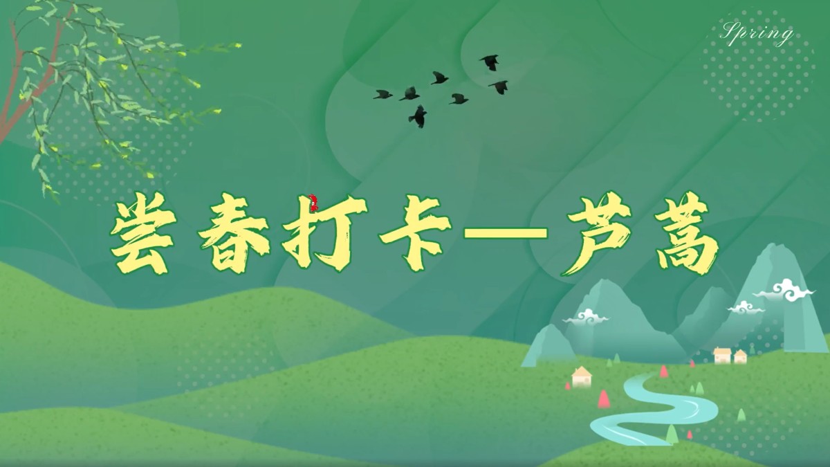 编号24《尝春打卡——芦蒿》