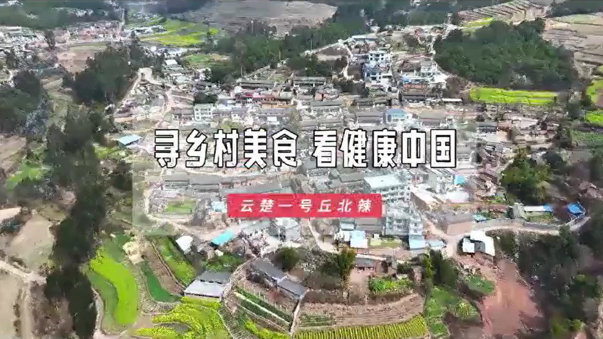 编号20 《寻乡村美食看健康中国——云楚一号丘北辣》