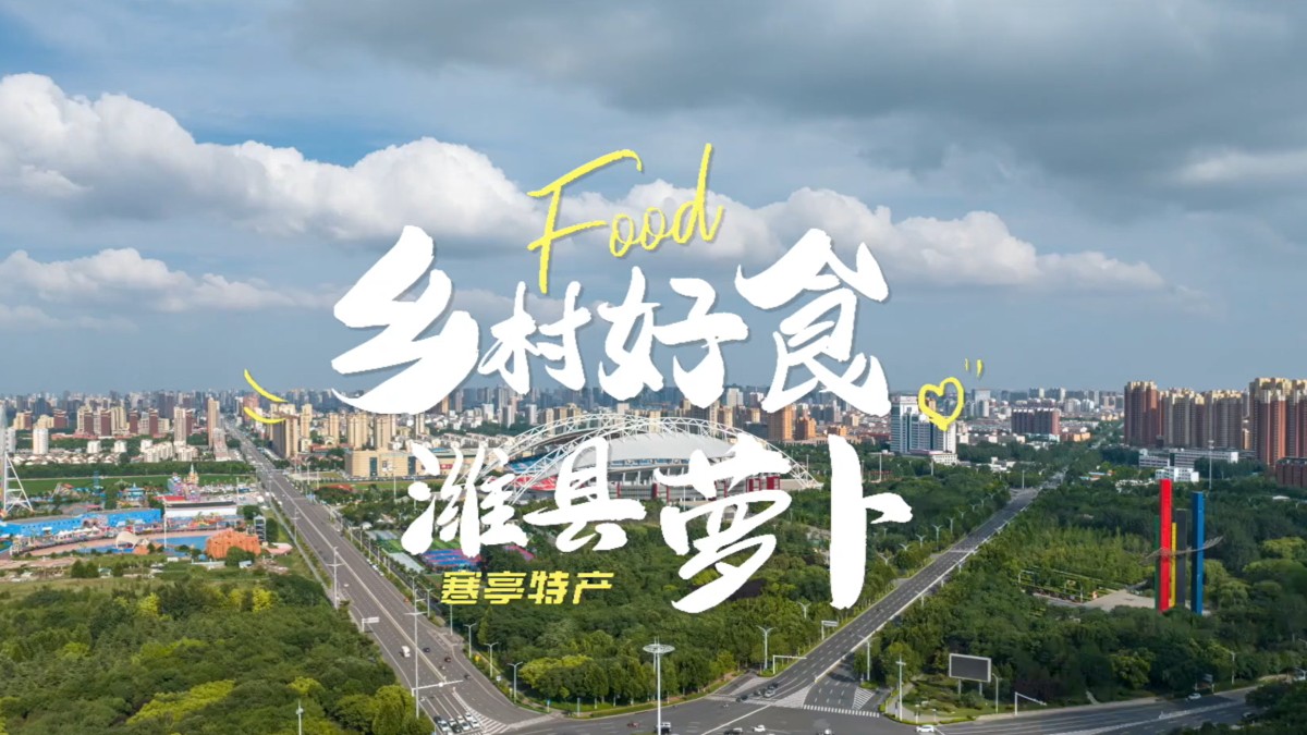 编号40 《乡村好食 潍县萝卜》