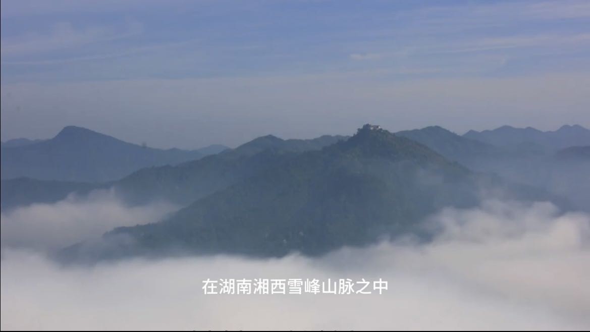 编号17《洪江雪峰乌骨鸡》