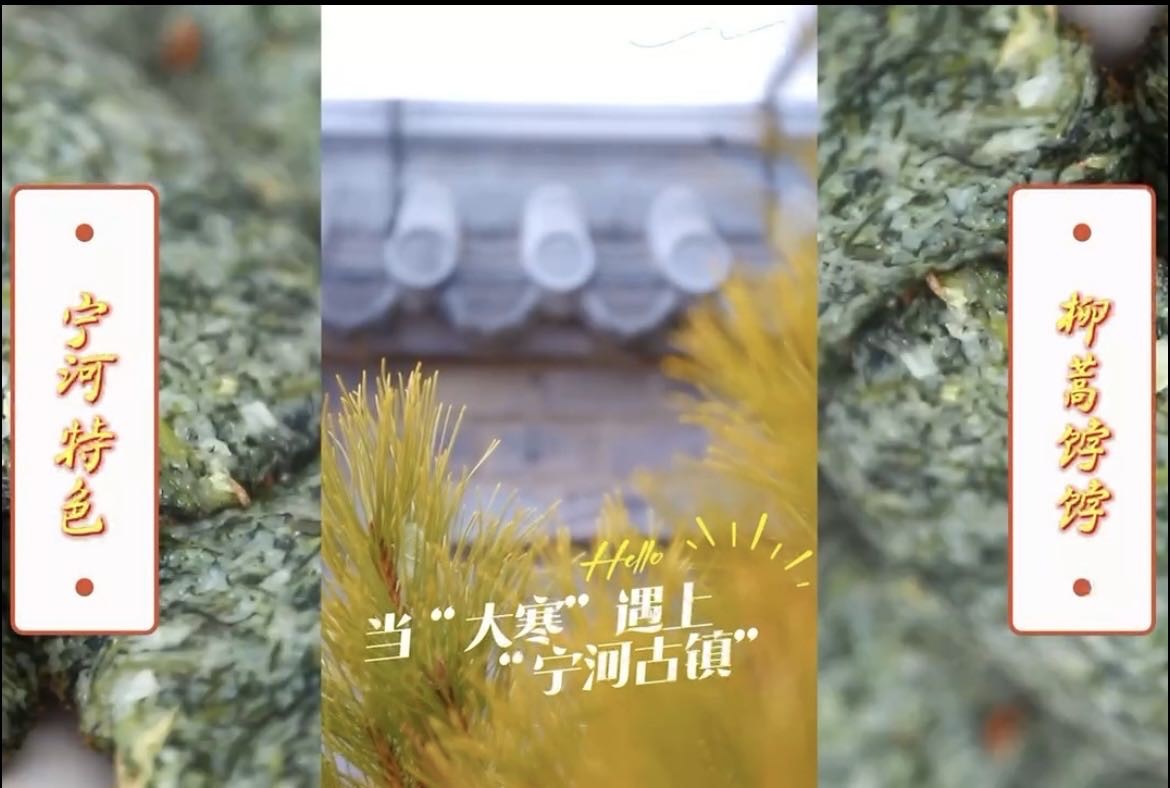 编号14《当“大寒”遇上宁河古镇“柳蒿饽饽”》