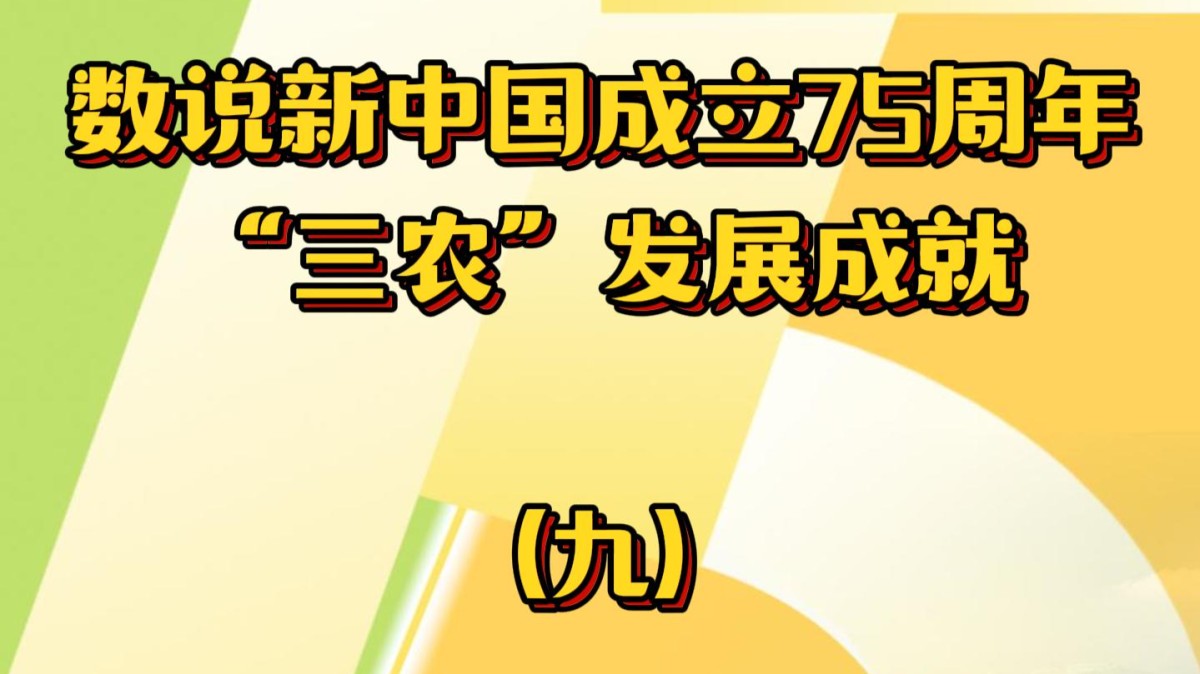 数说新中国成立75周年 “三农”发展成就（九）