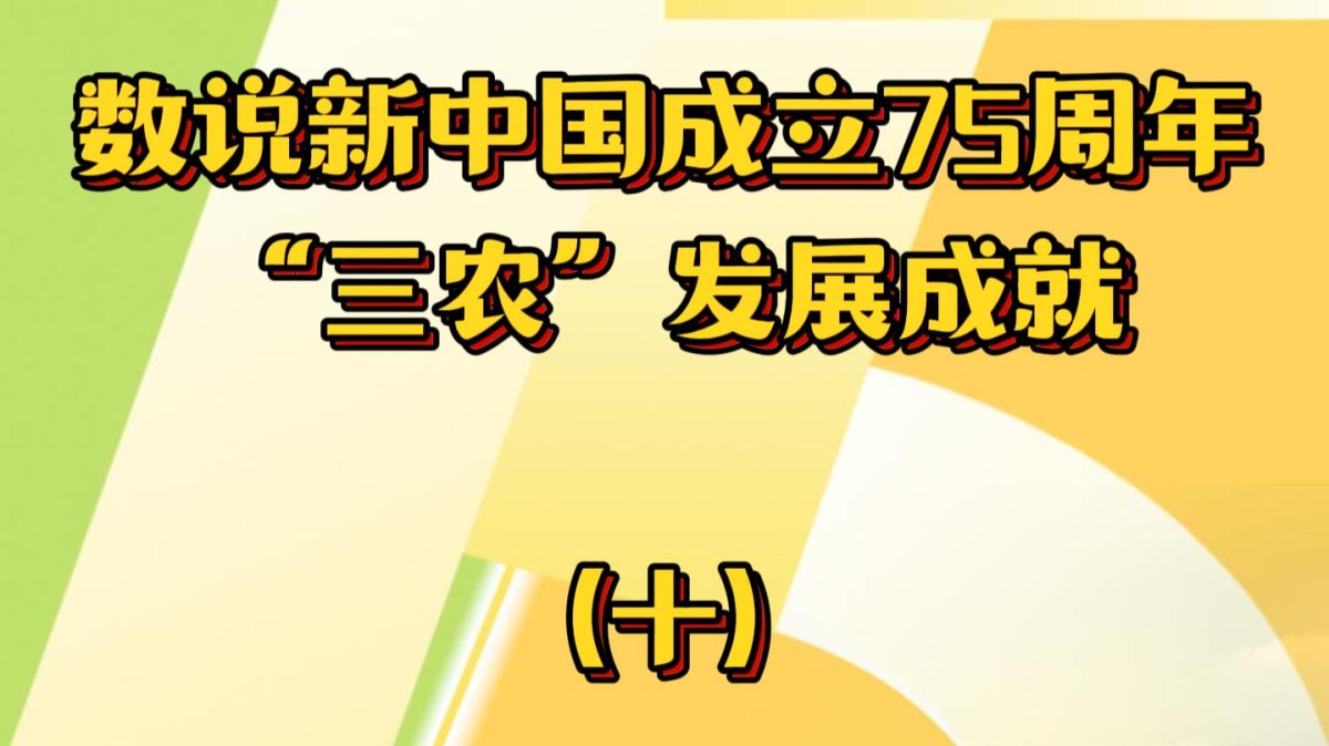 数说新中国成立75周年 “三农”发展成就（十）