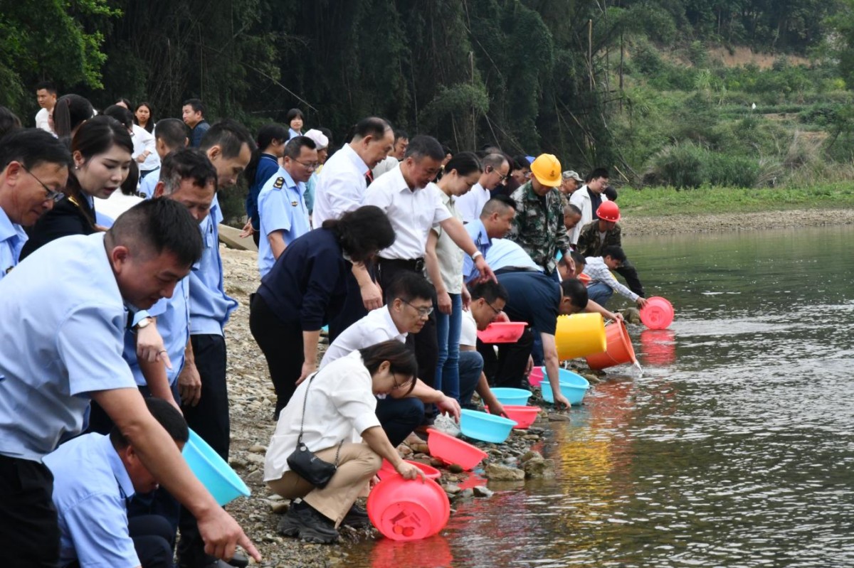 珠江流域重点水生生物斑鳠增殖放流活动在贵州罗甸县举行
