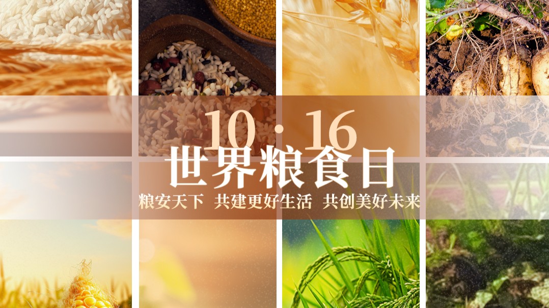 今天，记住这些词！