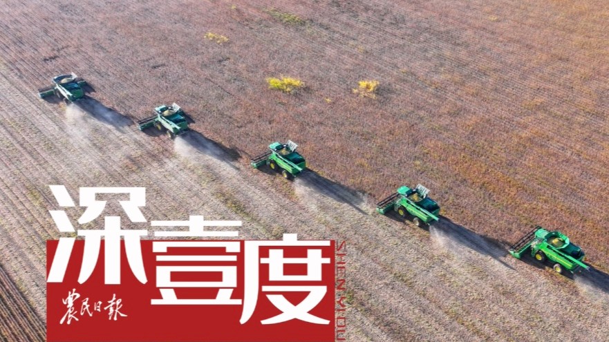 如何推进国产大豆全产业链发展？