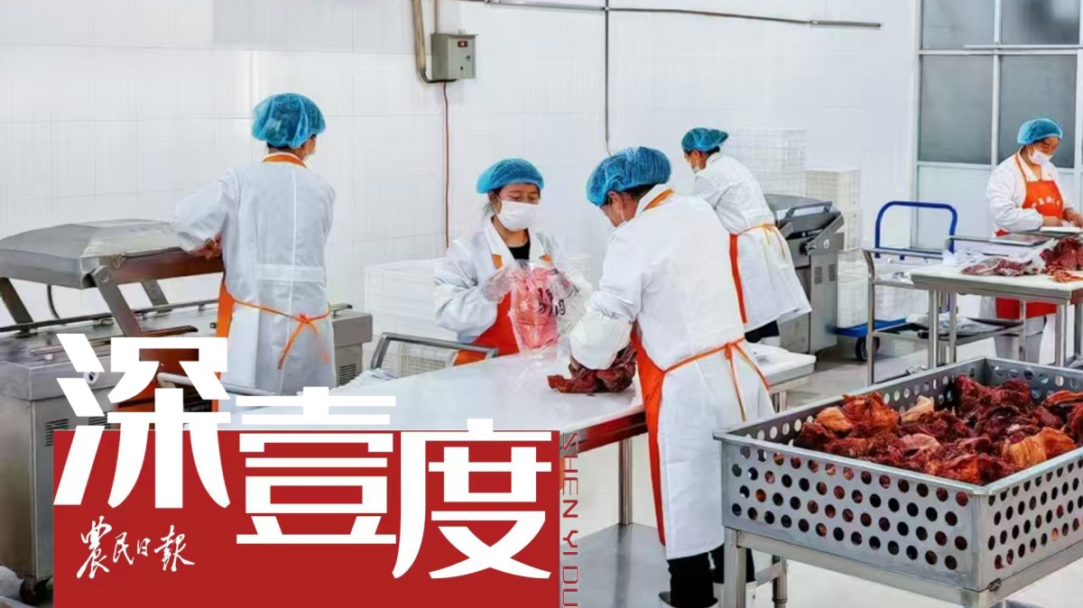 驴肉火烧价高，驴产业能否迎来春天？